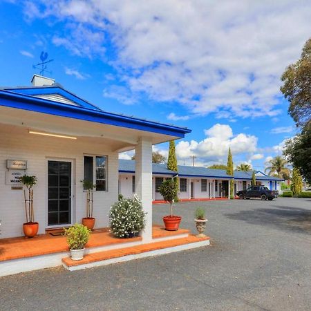 יאנג Colonial Motel & Apartments מראה חיצוני תמונה